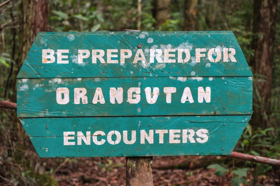 Camp Leakey Visitor Warning Sign